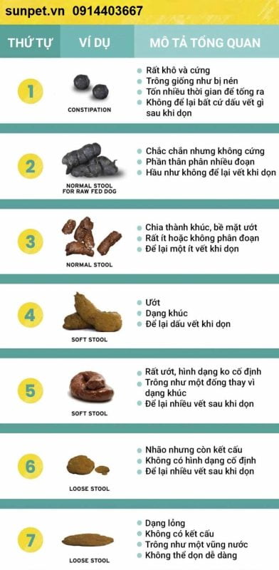 Quan sat phan doan tinh hinh tieu chay o cho