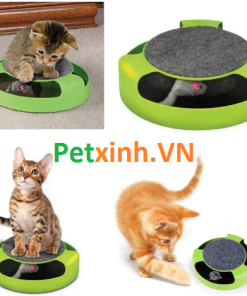 bo chuot xoay cho meo