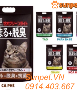 cat-nhat-ve-sinh-cho-meo