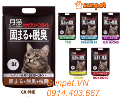 cat-nhat-ve-sinh-cho-meo