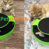 Đồ chơi chuột xoay cho mèo