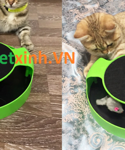 Đồ chơi chuột xoay cho mèo