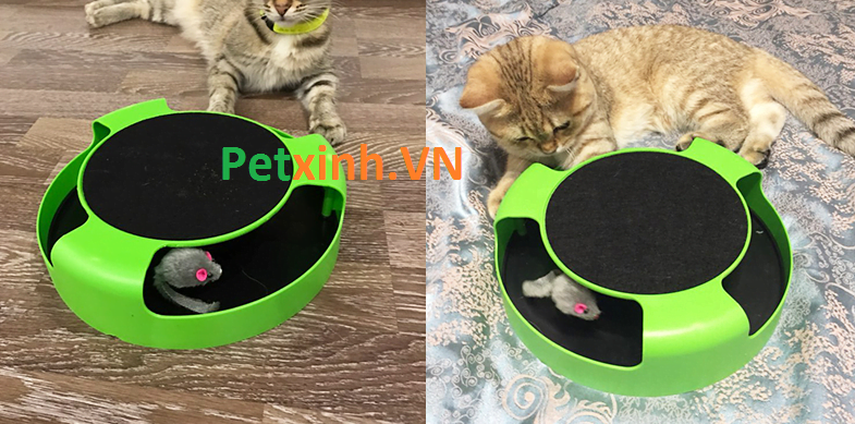 Đồ chơi chuột xoay cho mèo