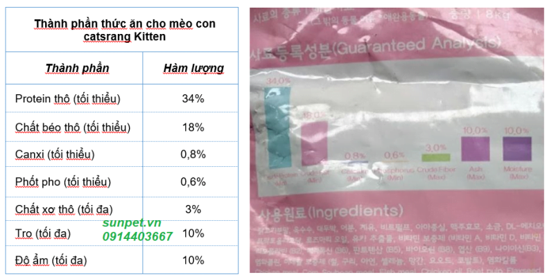thuc an cho meo catsrang kitten