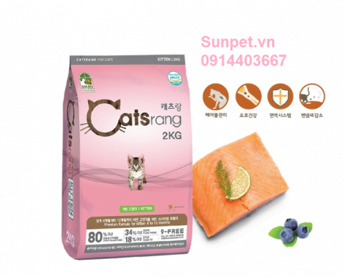 thuc an cho meo con catsrang kitten.2