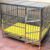 chuồng chó inox T40