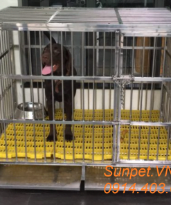 chuồng chó inox