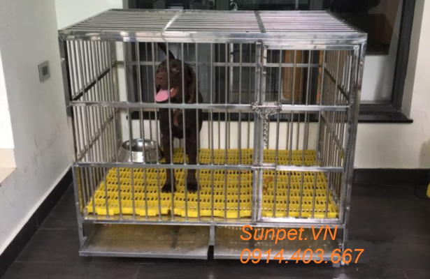 chuồng chó inox