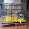 chuồng chó inox