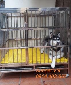 chuồng chó inox