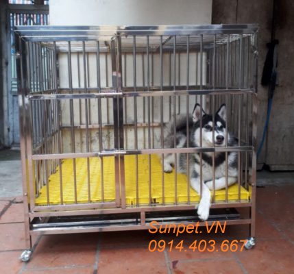 chuồng chó inox
