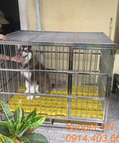 chuồng chó inox T40