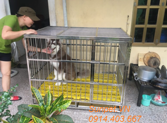 chuồng chó inox T40