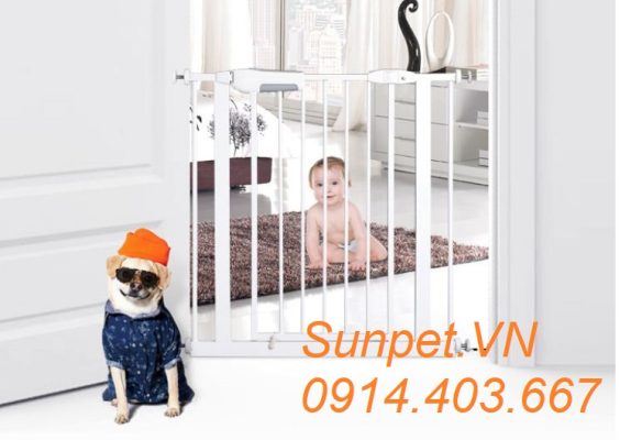 cửa chắn chó mèo
