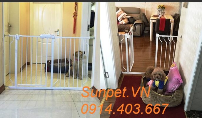 cửa chắn chó mèo Umoo không cần khoan đục