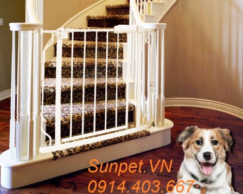 cửa chắn chó mèo Umoo không cần khoan đục