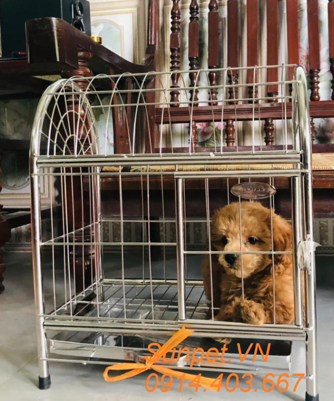 lồng chó inox, chuồng chó mèo inox giá rẻ