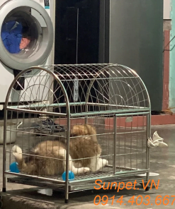 lồng chó inox, chuồng chó mèo inox giá rẻ