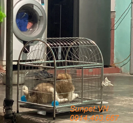 lồng chó inox, chuồng chó mèo inox giá rẻ