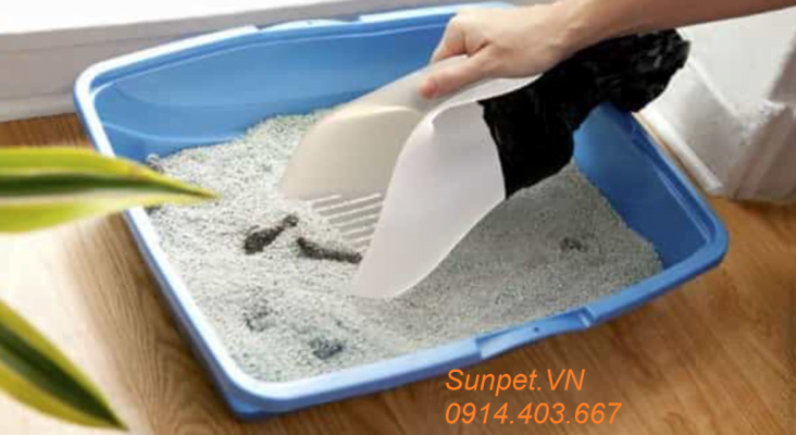 nên mua khay vệ sinh cho chó loại nào