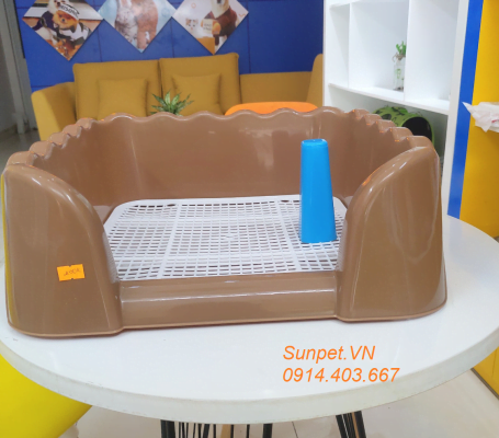 nên mua khay vệ sinh cho chó loại nào