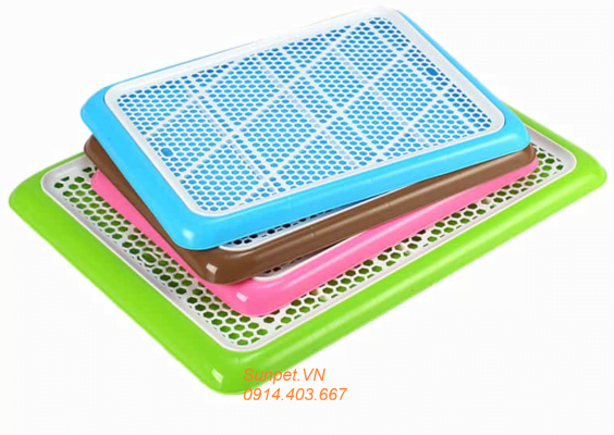 nên mua khay vệ sinh cho chó loại nào