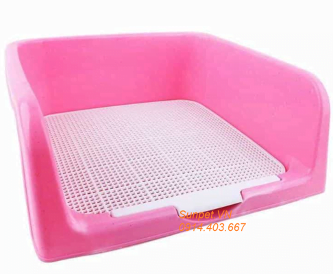 nên mua khay vệ sinh cho chó loại nào