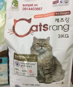 review-cat-ve-sinh-cho-meo