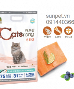 thuc an cho meo moi lua tuoi catsrang