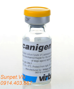 vaccin phòng 6 bệnh cho chó