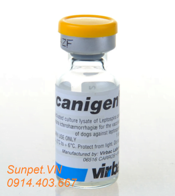 vaccin phòng 6 bệnh cho chó