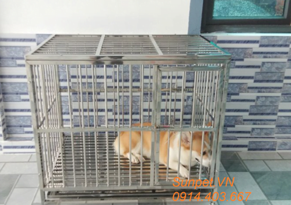 Chuồng chó inox t20