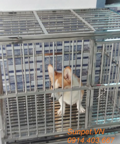 Chuồng chó inox t20