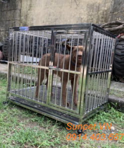 Chuồng chó inox t20
