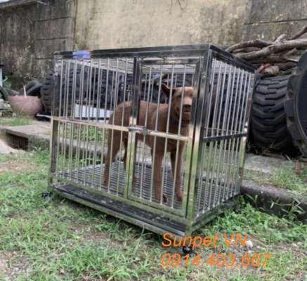 Chuồng chó inox t20