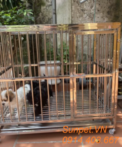 Chuồng chó inox t20