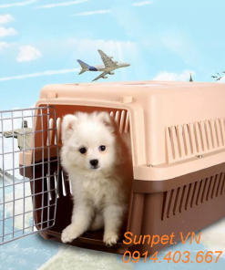 Lồng hàng không, túi vận chuyển chó mèo