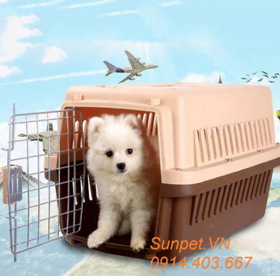Lồng hàng không, túi vận chuyển chó mèo