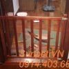chắn cửa chó mèo bằng gỗ